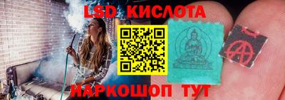 прущие грибы Будённовск