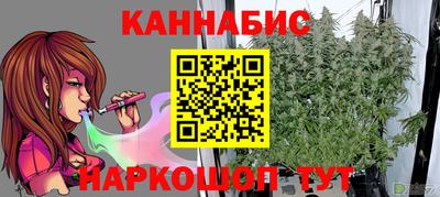 прущие грибы Будённовск