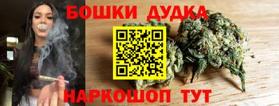 прущие грибы Будённовск