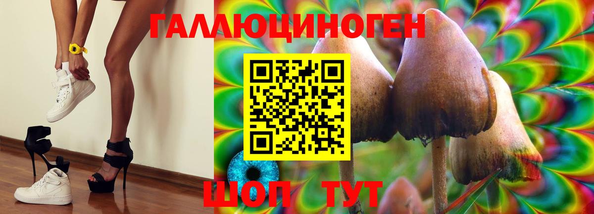 Псилоцибиновые грибы мицелий Новый Уренгой